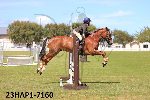 23HAP1-7160