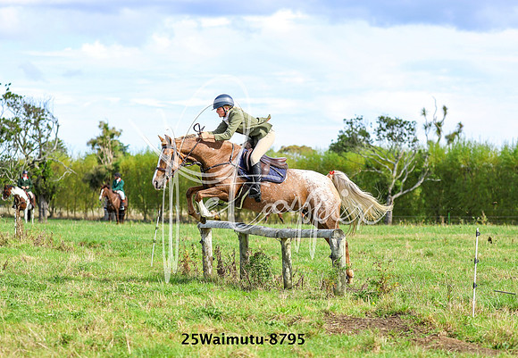 25Waimutu-8795