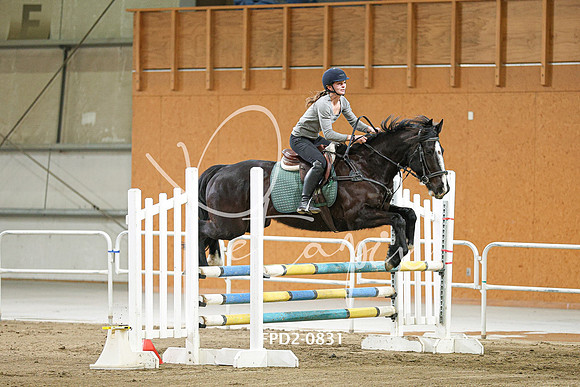 FPD2-0831