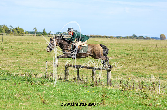 25Waimutu-8901