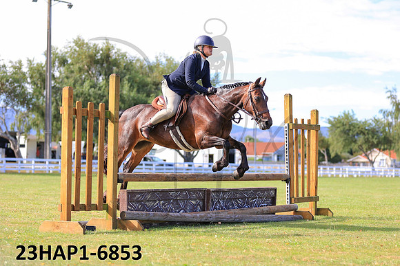 23HAP1-6853