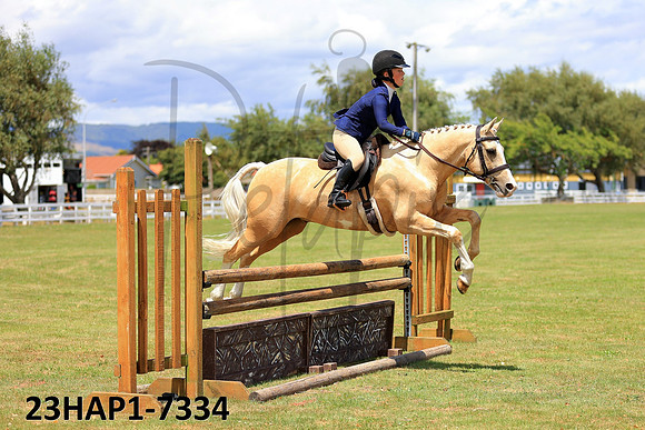 23HAP1-7334