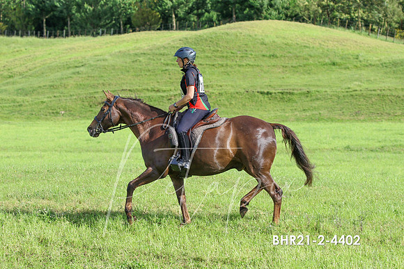 BHR21-2-4402