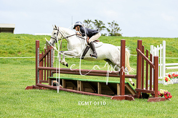 EGMT-0110
