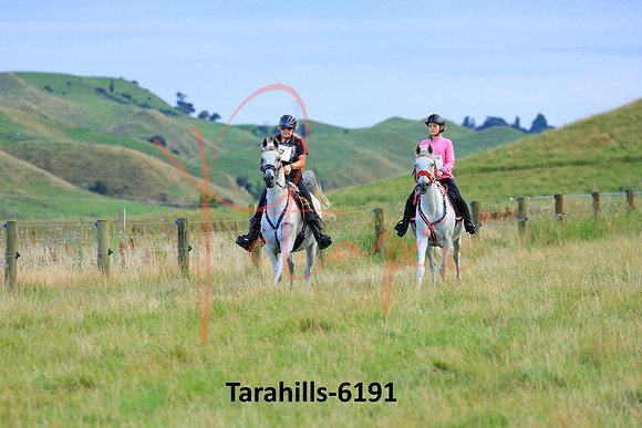 Tarahills-6191