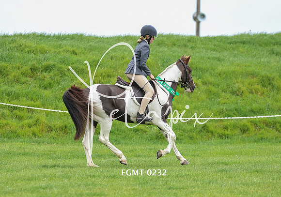 EGMT-0232