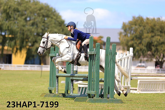23HAP1-7199