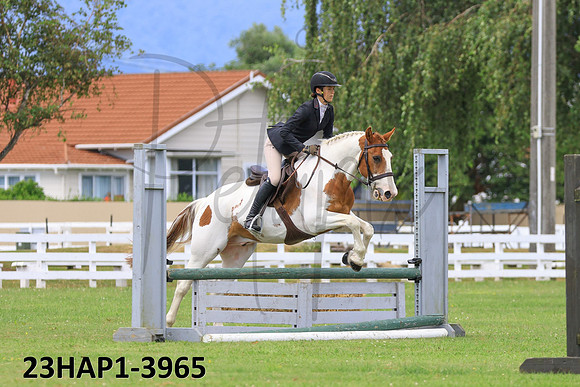 23HAP1-3965