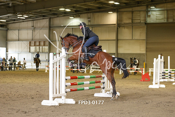 FPD3-0177