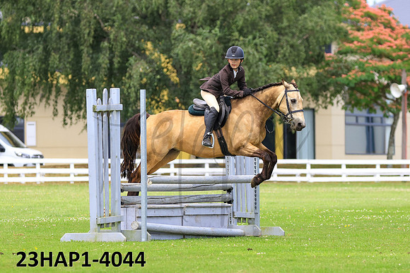 23HAP1-4044