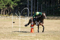 25NIPCHAMPS3-0035