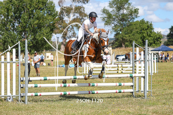 25OH-1120