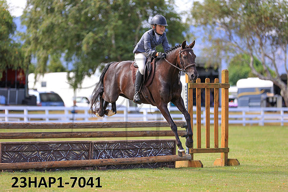 23HAP1-7041