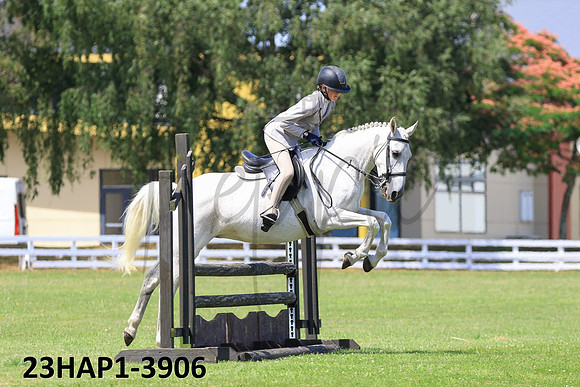 23HAP1-3906