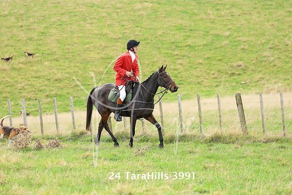 24 TaraHills-3991