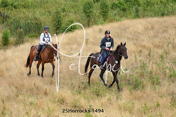 25Horrocks-1494