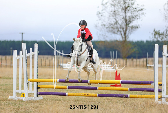 25NTIS-1291