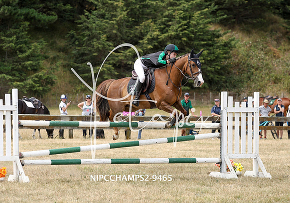 NIPCCHAMPS2-9465