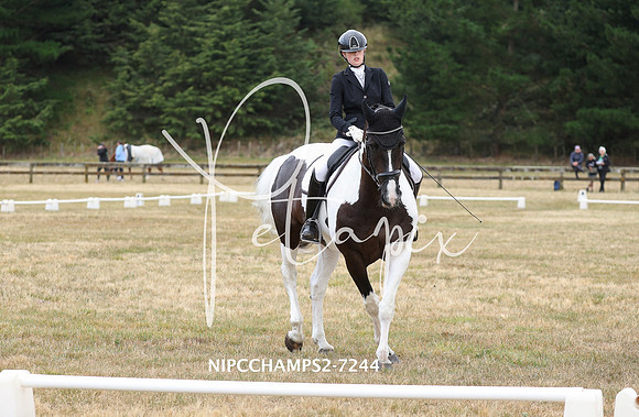 NIPCCHAMPS2-7244