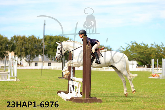 23HAP1-6976