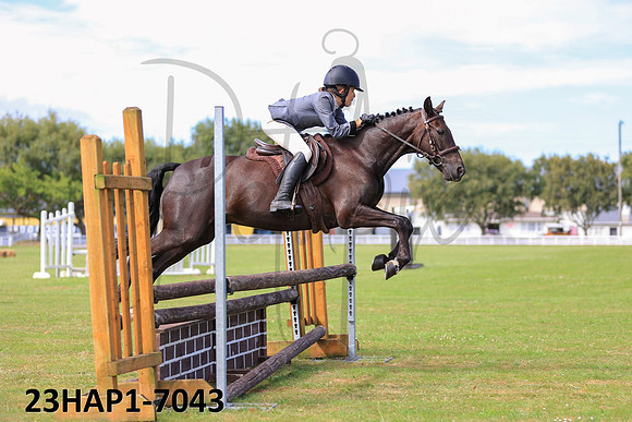 23HAP1-7043