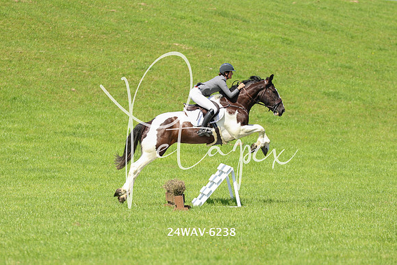 24WAV-6238