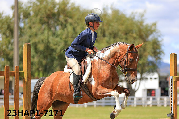 23HAP1-7171