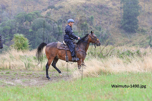 Waimutu-1490