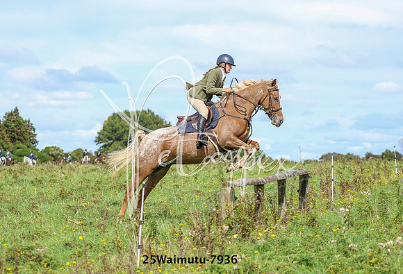 25Waimutu-7936