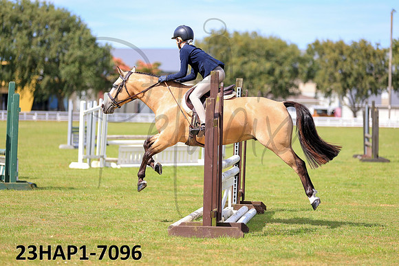23HAP1-7096