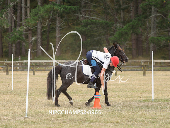 NIPCCHAMPS2-8965