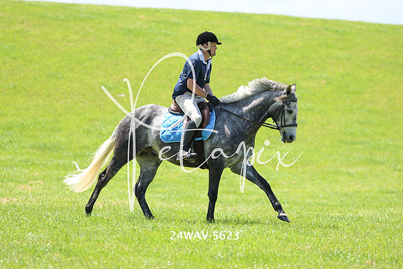 24WAV-5623