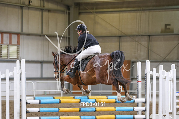 FPD3-0151