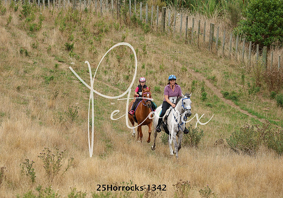 25Horrocks-1342