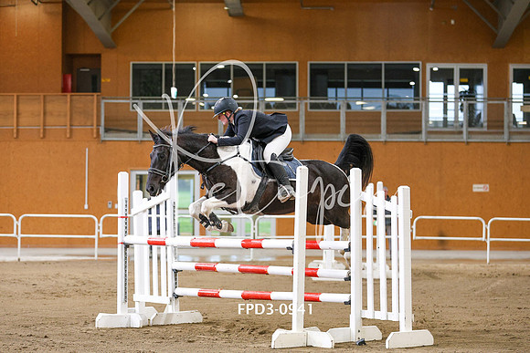 FPD3-0941