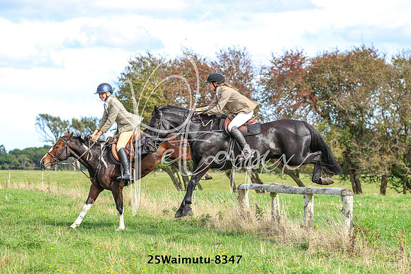 25Waimutu-8347