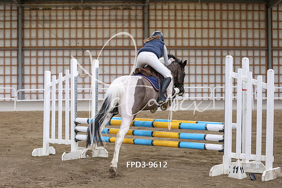 FPD3-9612