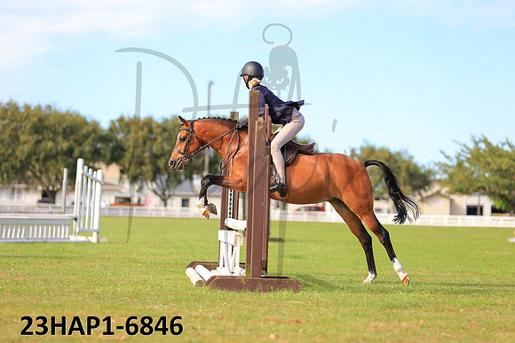 23HAP1-6846