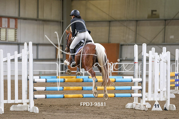 FPD3-9881