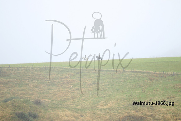 Waimutu-1966