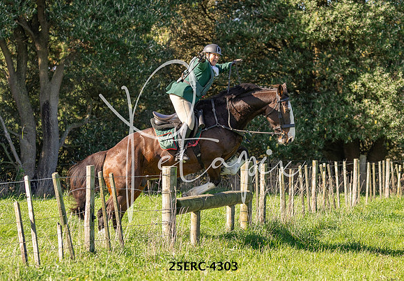 25ERC-4303