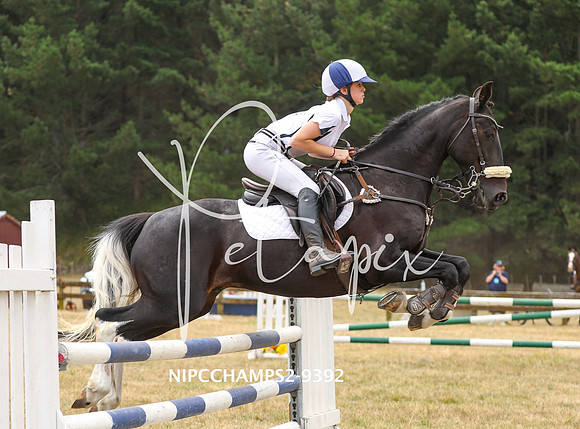 NIPCCHAMPS2-9392