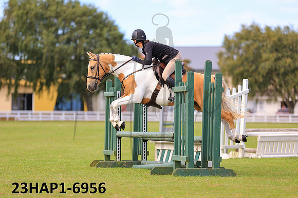 23HAP1-6956