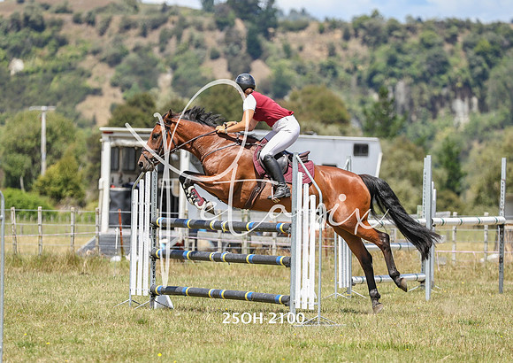 25OH-2100