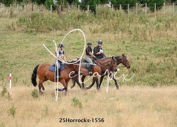 25Horrocks-1556