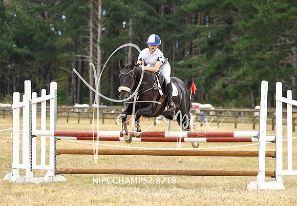 NIPCCHAMPS2-8718