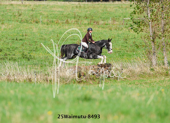 25Waimutu-8493