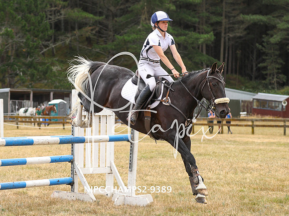 NIPCCHAMPS2-9389