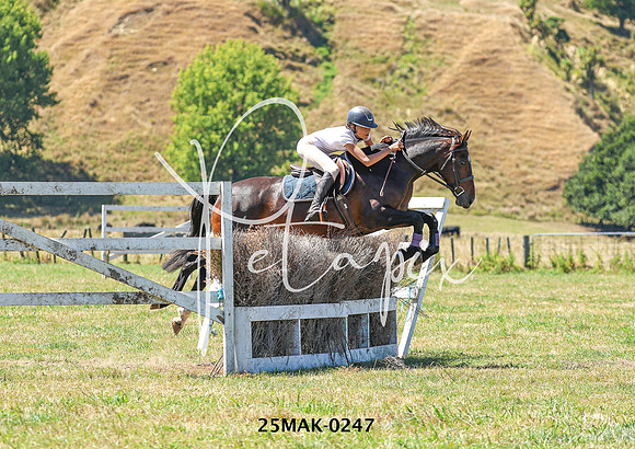 25MAK-0247