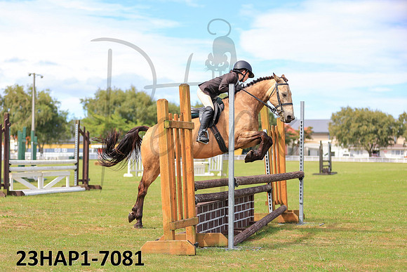 23HAP1-7081
